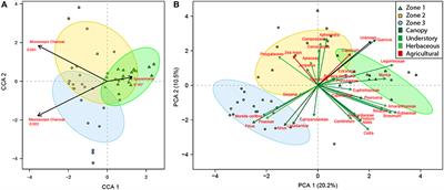 Corrigendum: The Legacy of Pre–Columbian Fire on the Pine–Oak Forests of Upland Guatemala